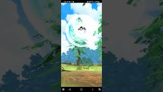 Wild swellow caught in pokemon go [upl. by Lefton]