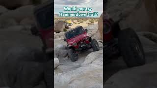 Does hammer down trail look like fun to you premierwestgears freedomropes gluetread [upl. by Weylin866]