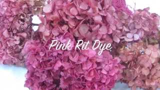 How To dry Hydrangeas amp How to Color Hydrangeas [upl. by Wayne]