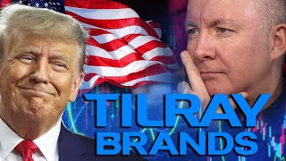 TLRY Stock Tilray Brands  US Election Donald TRUMP Stock WINNERS amp LOSERS  Martyn Lucas Investor [upl. by Anytsirhc]