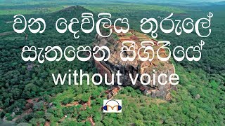 Wana Dewliya Thurule Karaoke Without Voice වන දෙව්ළිය තුරුලේ [upl. by Yesdnyl8]