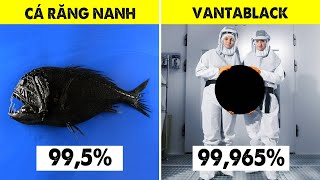 235 Phát Hiện Sinh Vật Đen Gần Bằng VANTABLACK  Súc Động Vật 11 [upl. by Melantha823]