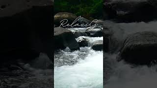 quotFeel Calm in 60 Seconds  River Sound Therapyquot asmr [upl. by Yknarf670]