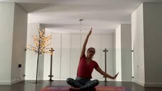 Vinyasa Aula para INICIANTES [upl. by Enihpad]