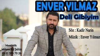 ENVER YILMAZ  DELİ GİBİYİM  Official Audio [upl. by Dorena56]