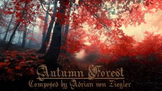 Relaxing Celtic Music  Autumn Forest [upl. by Amaral]