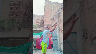 Piya Piya o Piya Piya trending comedy bollywoodsongs bhajanvilogs4721 bollywoodsongs [upl. by Anerul348]