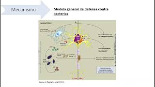 Porphyromonas gingivalis y la Enfermedad de Alzheimer [upl. by Wack]