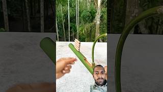 Best bow arrow firing archery diy bamboo toy satisfying magic [upl. by Nwahsyd196]