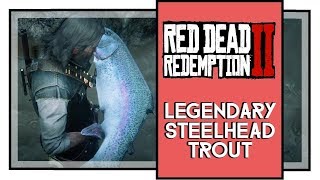 Legendary Steelhead Trout Location amp Catch Guide RDR2 [upl. by Leahpar199]