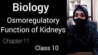 Osmoregulatory Function of Kidneys Chapter 11 Class 10 [upl. by Zetniuq]