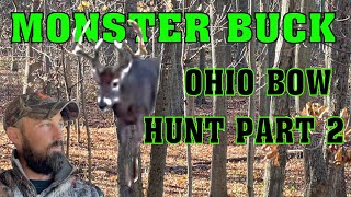 Monster Ohio Buck Headed Right at Me [upl. by Annam]