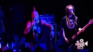 The Exploited  Dogs Of War  Live in Sydney  Moshcam [upl. by Siravaj]