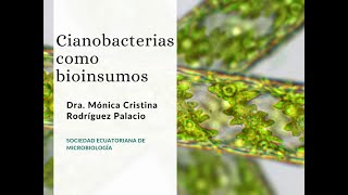 Cianobacterias como Bioinsumos y agroecologia [upl. by Enirak]