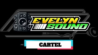 CARTELEVELYNSOUNDSYSTEMOKEDJ [upl. by Aieki58]