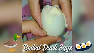 BOILED DUCK EGGS 🥚 ASMR CRACKING  PEELING quotPENOYquot ✨ asmrfood asmr egg eggs [upl. by Philbert]