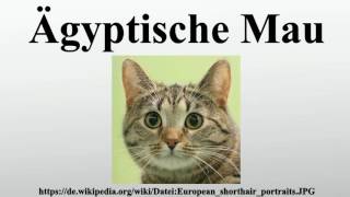 Ägyptische Mau [upl. by Kalin]