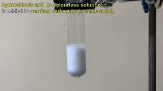 Hydrochloric acid is added to Calcium carbonate [upl. by Eziechiele]