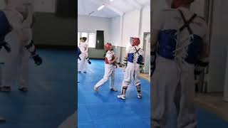 Taekwondo sparring tips martialarts [upl. by Canotas]