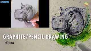 GraphitePencil Drawing  Hippo [upl. by Iives]