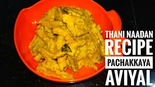 Special Aviyal Recipe In Malayalam  Pachakkaya Aviyal Lunch SpecialAyishas fusion world [upl. by Ssac]