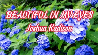 BEAUTIFUL IN MY EYES  JOSHUA KADISON LYRICS VIDEO [upl. by Euqinim]