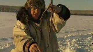 Fishing on Ice  Ray Mears Extreme Survival  BBC [upl. by Atsirak]