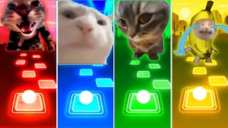 Doorbell Cat vs Vibing Cat vs Chipi Chipi Chapa Chapa Cat vs Banana Cat  Tiles Hop EDM Rush [upl. by Lach]