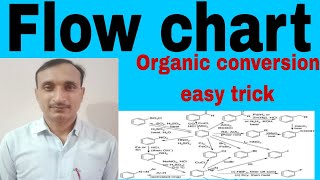 Flow chart  Organic conversion By Malik sir [upl. by Aryk544]