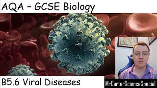 B56 Viral Disease  AQA Biology GCSE 91 [upl. by Pacien458]