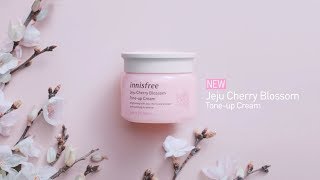 NEW Jeju Cherry Blossom Toneup Cream [upl. by Mable]