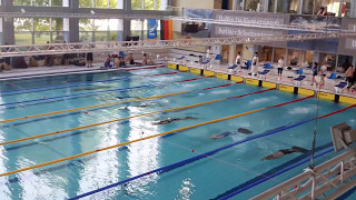 100m SF Men  World Record by Max Poschart at Finswimming German Championship 2017 [upl. by Htiekal381]