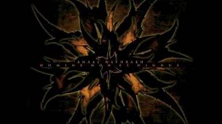 Anaal Nathrakh  Domine Non Es Dignus Full Album [upl. by Erodaeht]