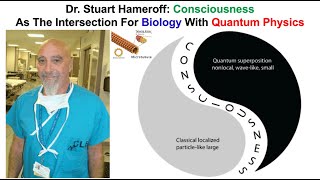 Consciousness As The Intersection For Biology With Quantum Physics Stuart Hameroff MD [upl. by Routh]