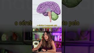 Revisando a ANATOMIA DO ENCÉFALO 🧠 [upl. by Aleedis]