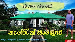 Nagrak Bungalow  Nonperial Estate  Bakers Bend  අඩි 7000 උඩින් තියෙන ලංකාවේ ලස්සනම බංගලාව [upl. by Oinolopa985]