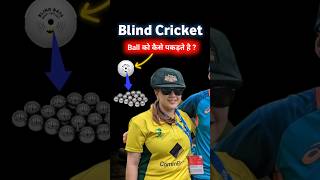 Blind Cricket cricket cricketshorts Cricket Highlights [upl. by Dorcus]