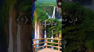 Beautifull recitation of Surah Inshirah quranshorts surahinshirah [upl. by Llyrad]