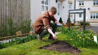 How to Grow a Wildflower Patch with Andy Peasgood [upl. by Ard]