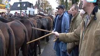 Paardenmarkt in Hedel [upl. by Guglielmo]