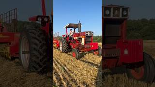 966 Baling Wheat Straw [upl. by Eesak]