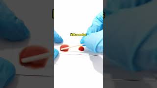 Blood typing laboratory medtechstudent cls mls bloodbank bloodgroup bloodtype bloodgrouping [upl. by Orten]