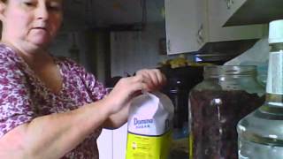 Making Blackberry Brandy [upl. by Arney]