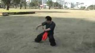 Hung Kuen  Lung Ying Kuen Dragon Fist 洪拳 龙形拳 [upl. by Navap753]