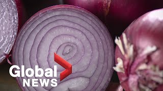 Salmonella outbreak in the US and Canada may be linked to red onions [upl. by Nevin]