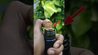 Wine lid broke during opening shortvideo [upl. by Kantos]