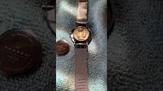 Skagen Watch Battery Change and Tips [upl. by Hras11]