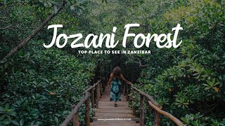 Top Place To See In Zanzibar  JOZANI FOREST 🇹🇿 [upl. by Ylrebme]