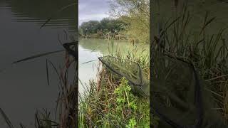 Coking farm woodlands lake carpy carpfish fishing carps fish carp lake carpbasics [upl. by Leinadnhoj454]