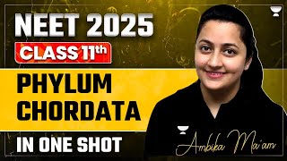 NEET 2025 Phylum Chorddata  Complete Chapter  Ambika Sharma [upl. by Sirah516]